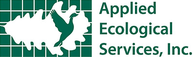 AES Logo