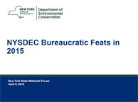 NYSDEC Bureaucratic Feats in 2015