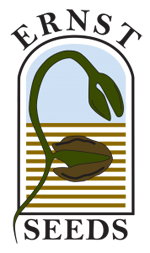 Ernst Seeds